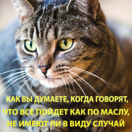 Александр Рубин