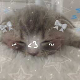 Юлия Алексеева