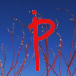Рина Краснотал