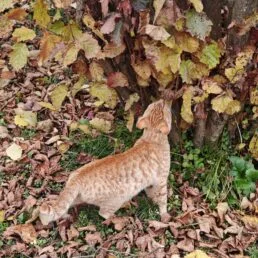 Александра К