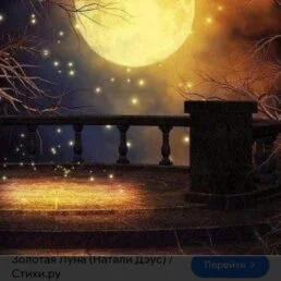 Луна Золотая