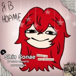 Sonae Shin
